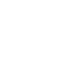 茉莉侨派